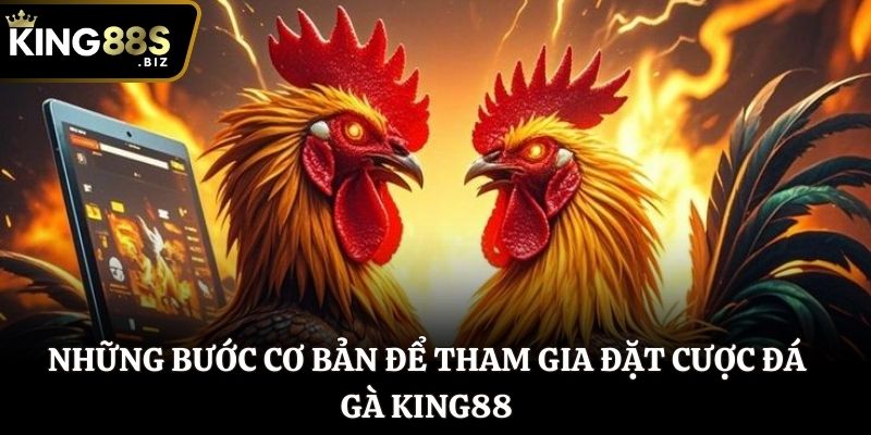 Những bước cơ bản để tham gia đặt cược Đá Gà King88