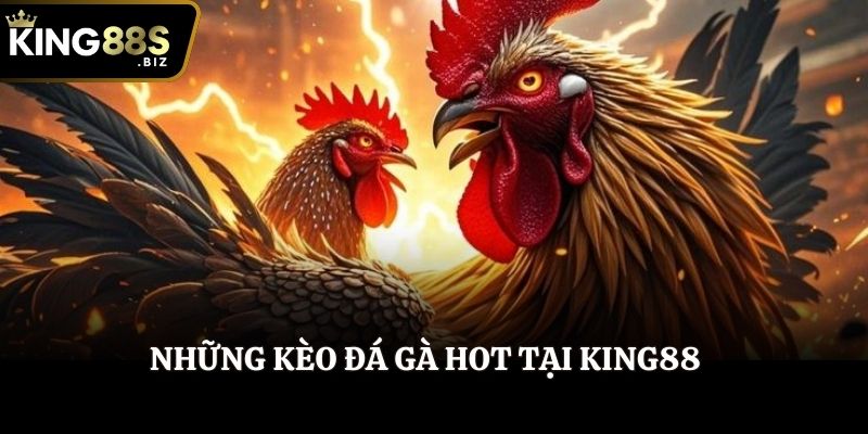 Những kèo đá gà hot tại King88